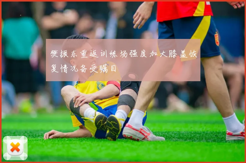 樊振东重返训练场强度加大膝盖恢复情况备受瞩目